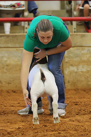 East Texas State Fair - Goat Showmanship-139