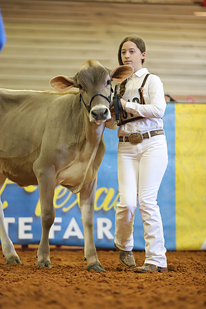 East Texas State Fair - Dairy Show-371