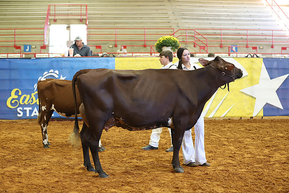 East Texas State Fair - Dairy Show-183