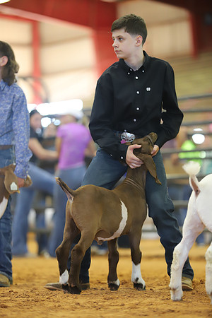 East Texas State Fair - Goat Show-086