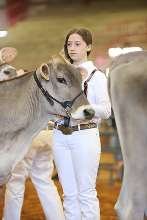 East Texas State Fair - Dairy Show-351