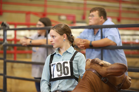 EastTexasStateFair-JBBAHeiferShowmanship-26