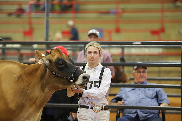 East Texas State Fair - Dairy Show-021