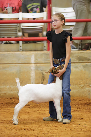 East Texas State Fair - Goat Showmanship-022
