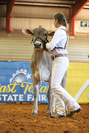 East Texas State Fair - Dairy Show-370