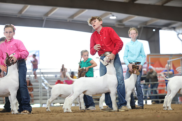 2L6A9708