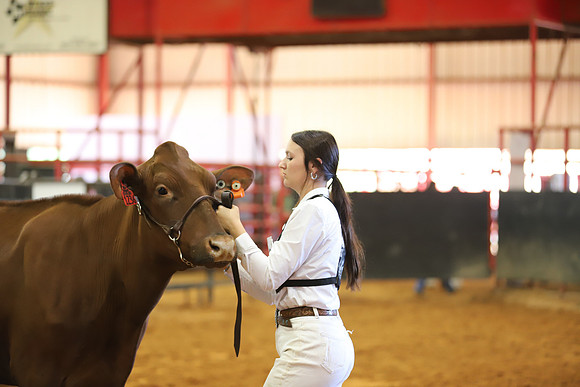 East Texas State Fair - Dairy Show-231