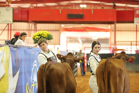 East Texas State Fair - Dairy Show-240