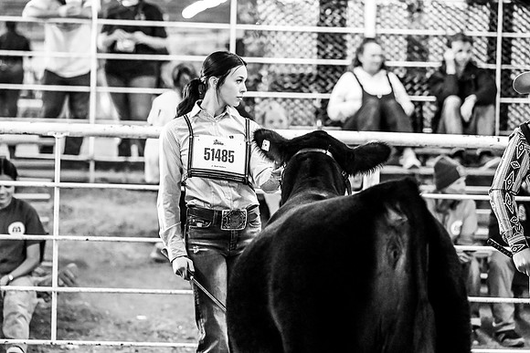 DSC_5199