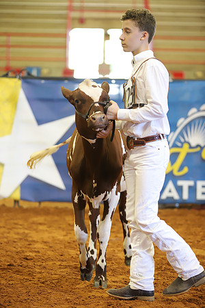 East Texas State Fair - Dairy Show-263