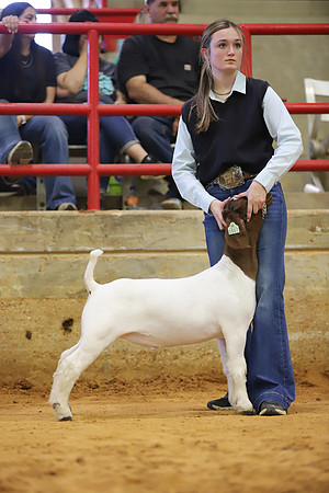 East Texas State Fair - Goat Show-046