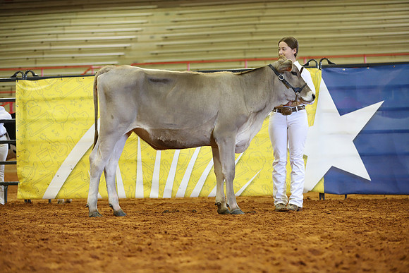 East Texas State Fair - Dairy Show-366