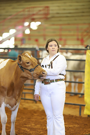 East Texas State Fair - Dairy Show-404