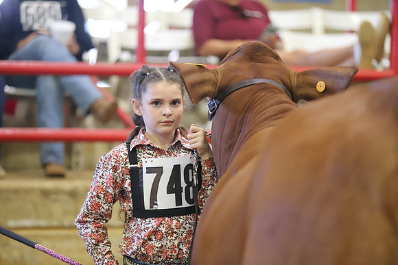 EastTexasStateFair-JBBAHeiferShowmanship-37