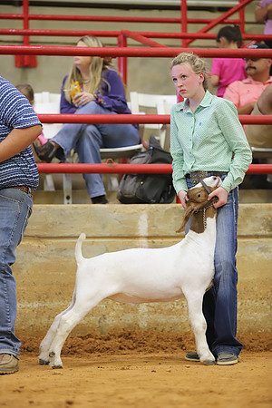 East Texas State Fair - Goat Show-040