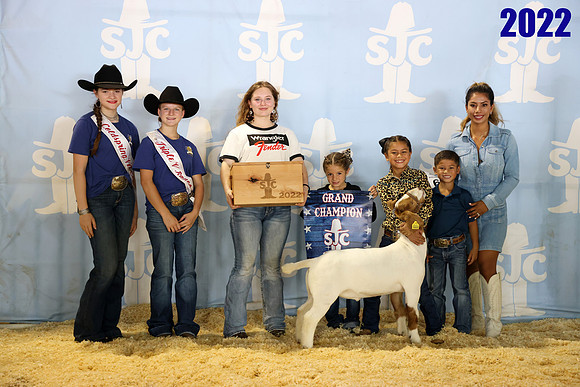 Lot 7