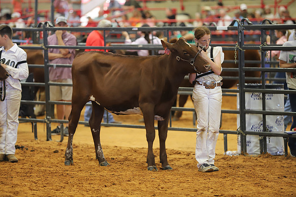 East Texas State Fair - Dairy Show-013