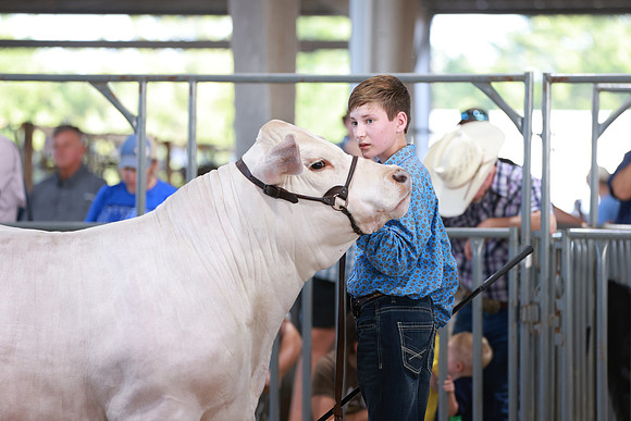 BN9A6465