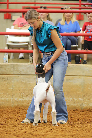 East Texas State Fair - Goat Showmanship-152