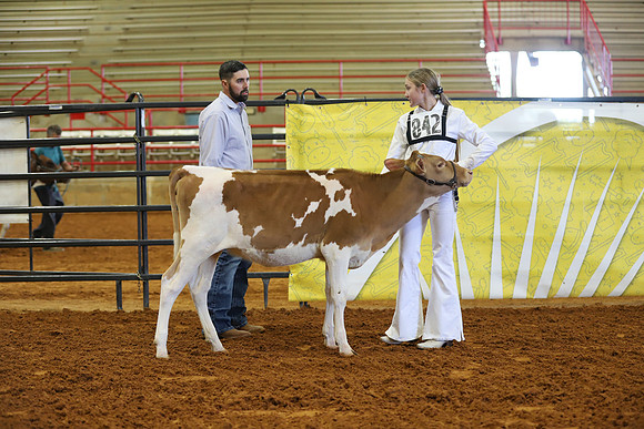 East Texas State Fair - Dairy Show-412