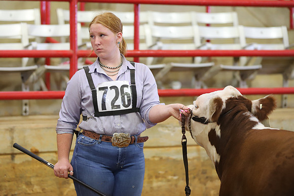 EastTexasStateFair-BritishHeiferShowmanship-31