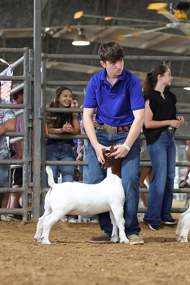 GGR_3072