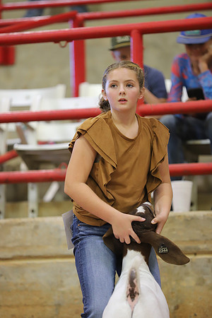 East Texas State Fair - Goat Show-041