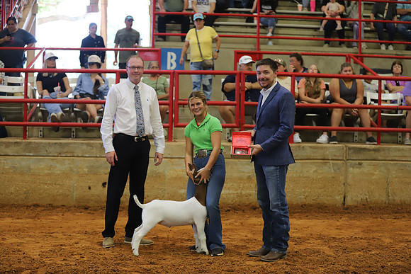 East Texas State Fair - Goat Showmanship-107