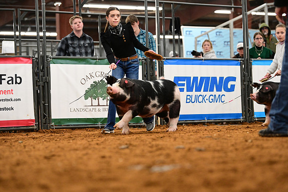 DSC_1730