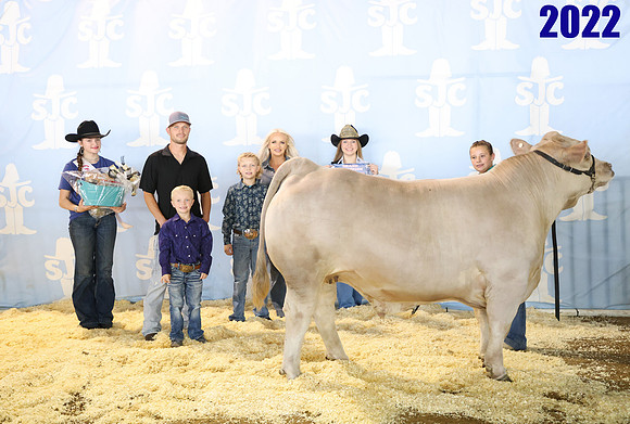 Lot 1