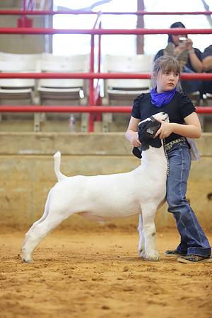 East Texas State Fair - Goat Show-019
