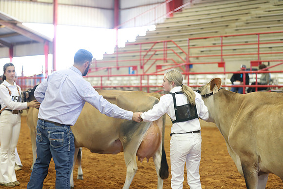 East Texas State Fair - Dairy Show-072