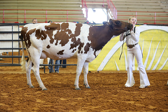 East Texas State Fair - Dairy Show-387