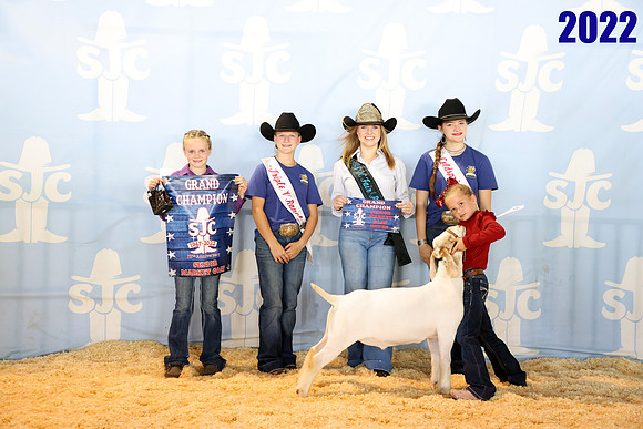 lot 8
