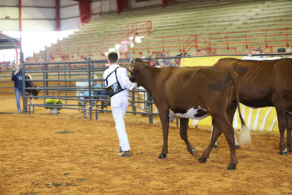 East Texas State Fair - Dairy Show-224