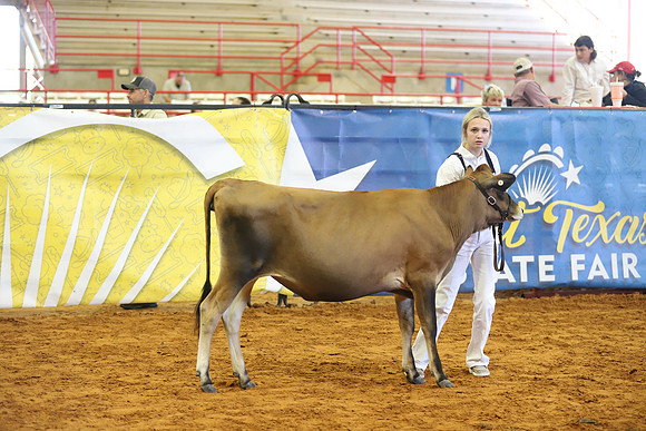 East Texas State Fair - Dairy Show-168