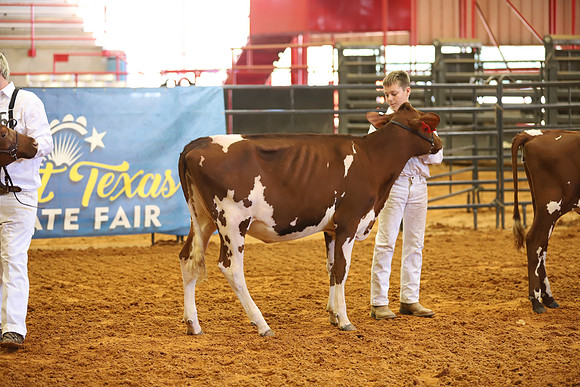 East Texas State Fair - Dairy Show-213