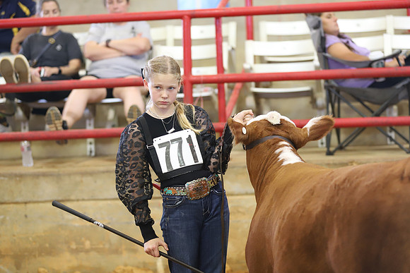 EastTexasStateFair-BritishHeiferShowmanship-77