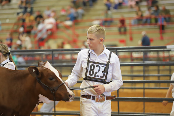 East Texas State Fair - Dairy Show-025
