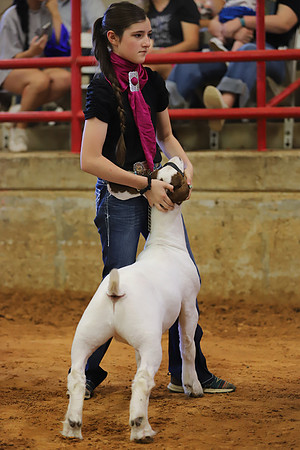 East Texas State Fair - Goat Showmanship-029