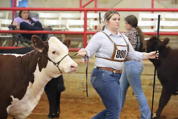 EastTexasStateFair-BritishHeiferShowmanship-19