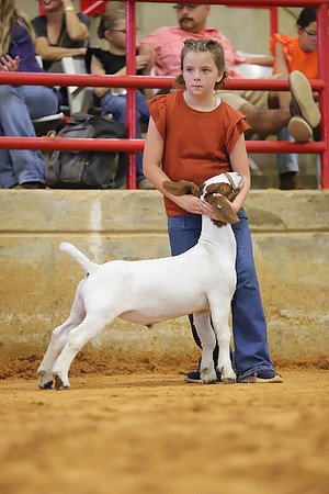 East Texas State Fair - Goat Show-098