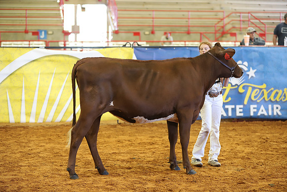 East Texas State Fair - Dairy Show-202