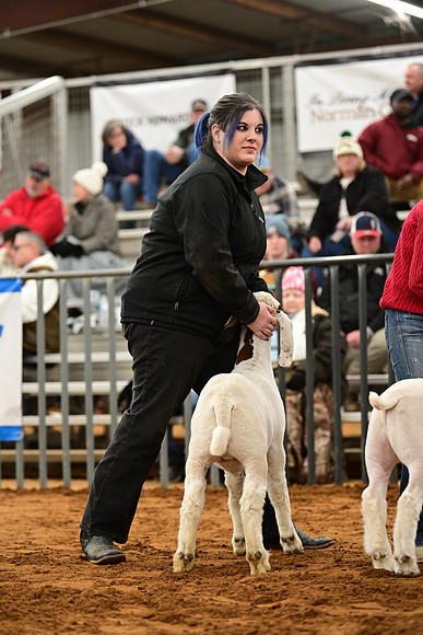 DSC_3026