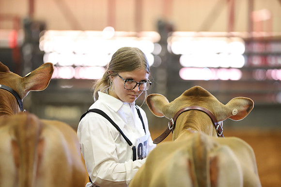 East Texas State Fair - Dairy Show-162