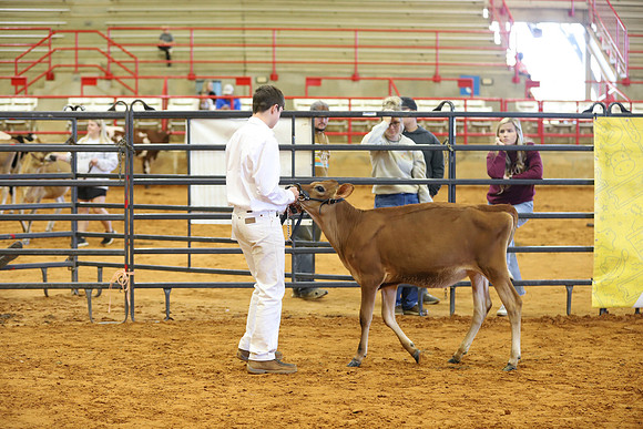 East Texas State Fair - Dairy Show-170