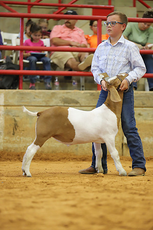 East Texas State Fair - Goat Show-025