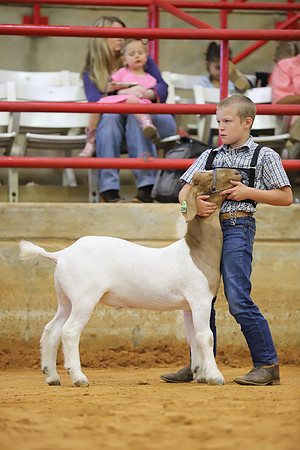 East Texas State Fair - Goat Show-013