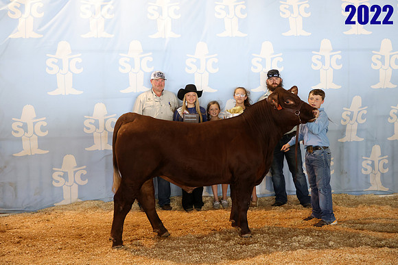 lot 65