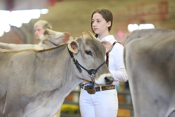 East Texas State Fair - Dairy Show-349